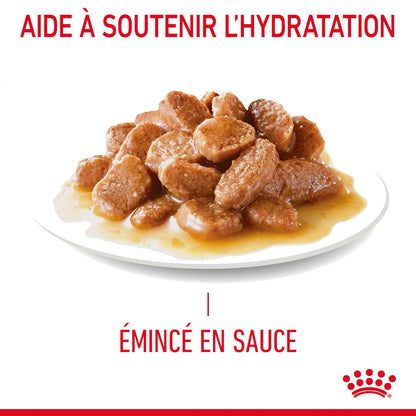 ROYAL CANIN Urinary Care en sauce - Pâtée pour chat