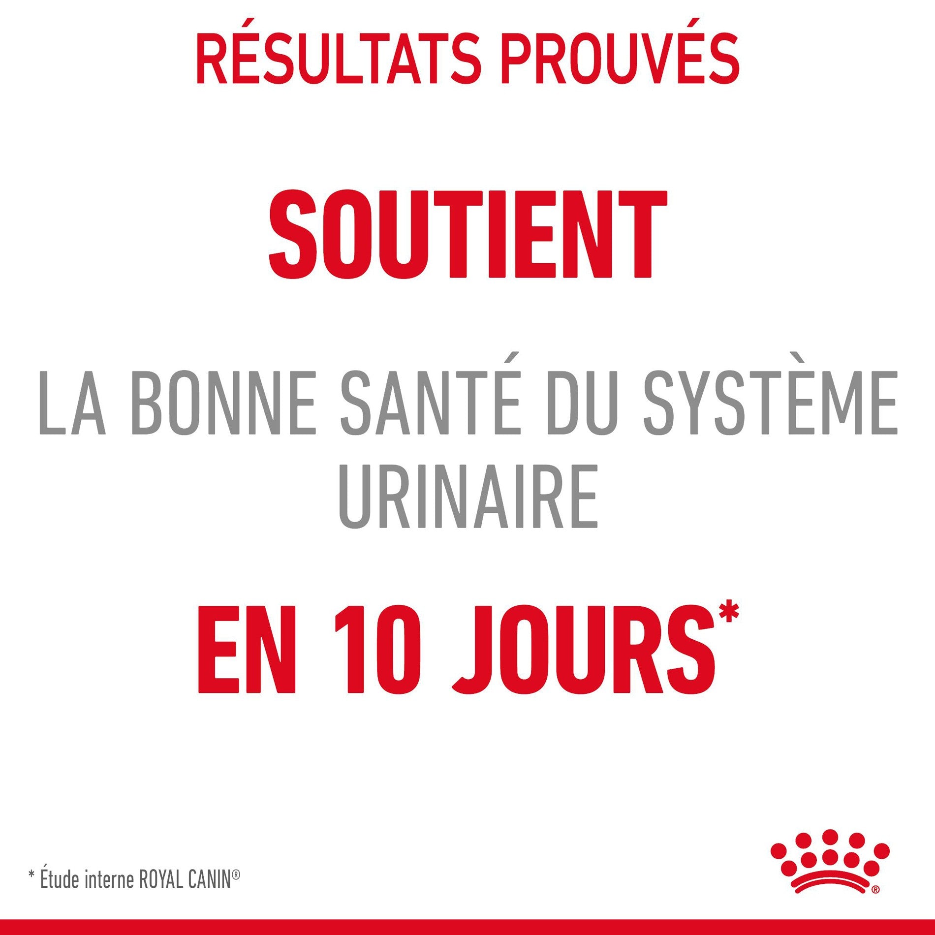 ROYAL CANIN Urinary Care en Gelée – Pâtée pour chat