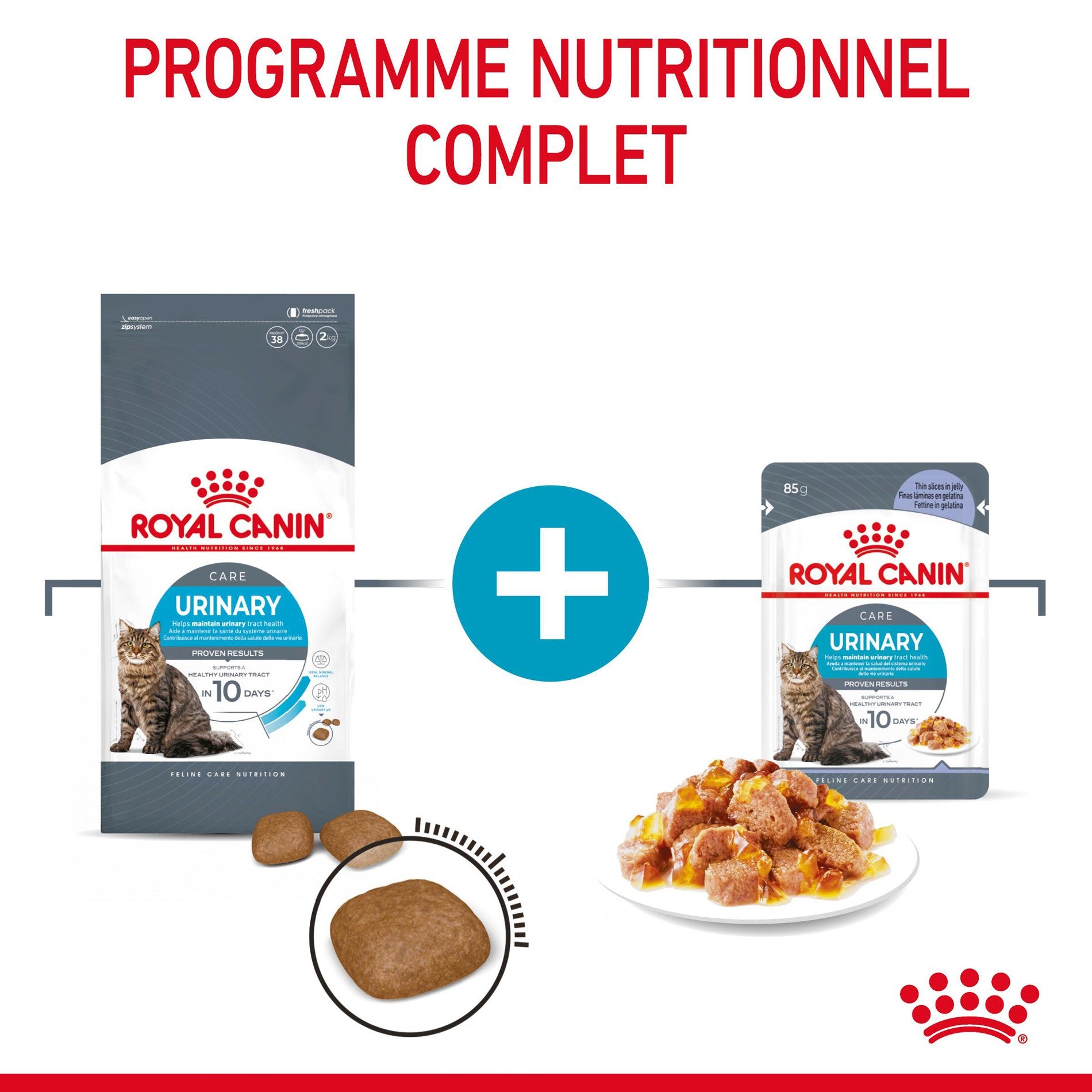 ROYAL CANIN Urinary Care en Gelée – Pâtée pour chat