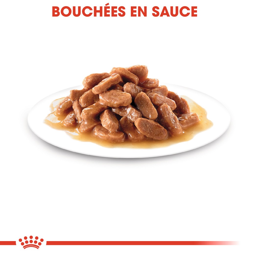 Royal Canin Kitten - Mousses pour chaton