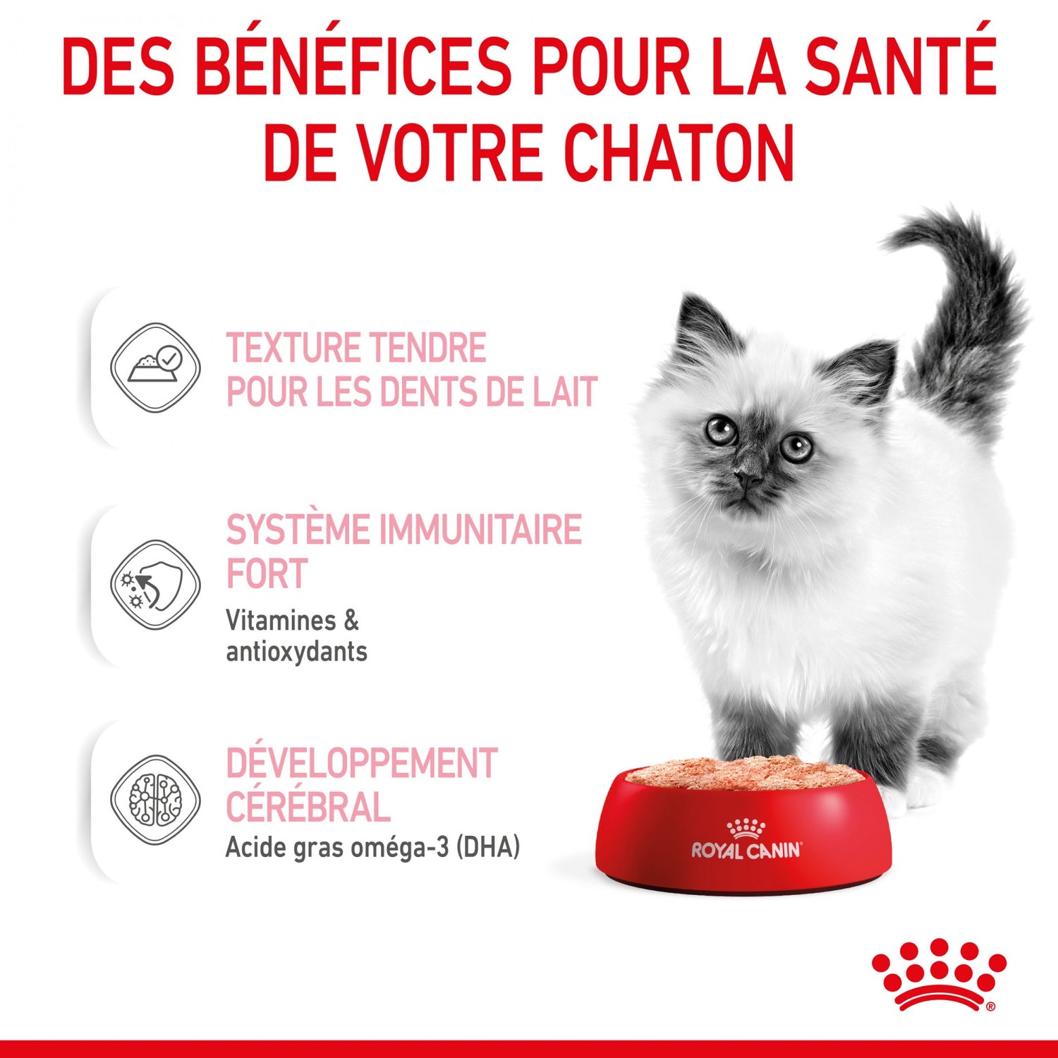 Royal Canin Kitten - Mousses pour chaton