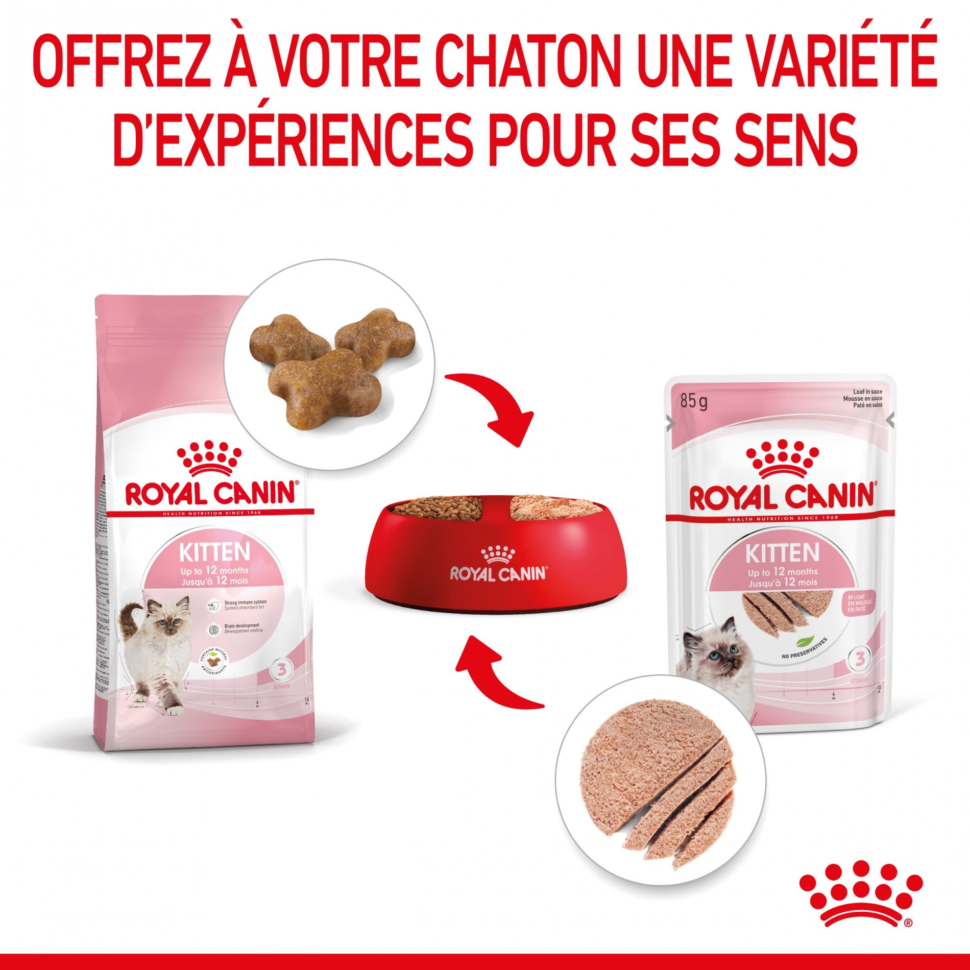 Royal Canin Kitten - Mousses pour chaton