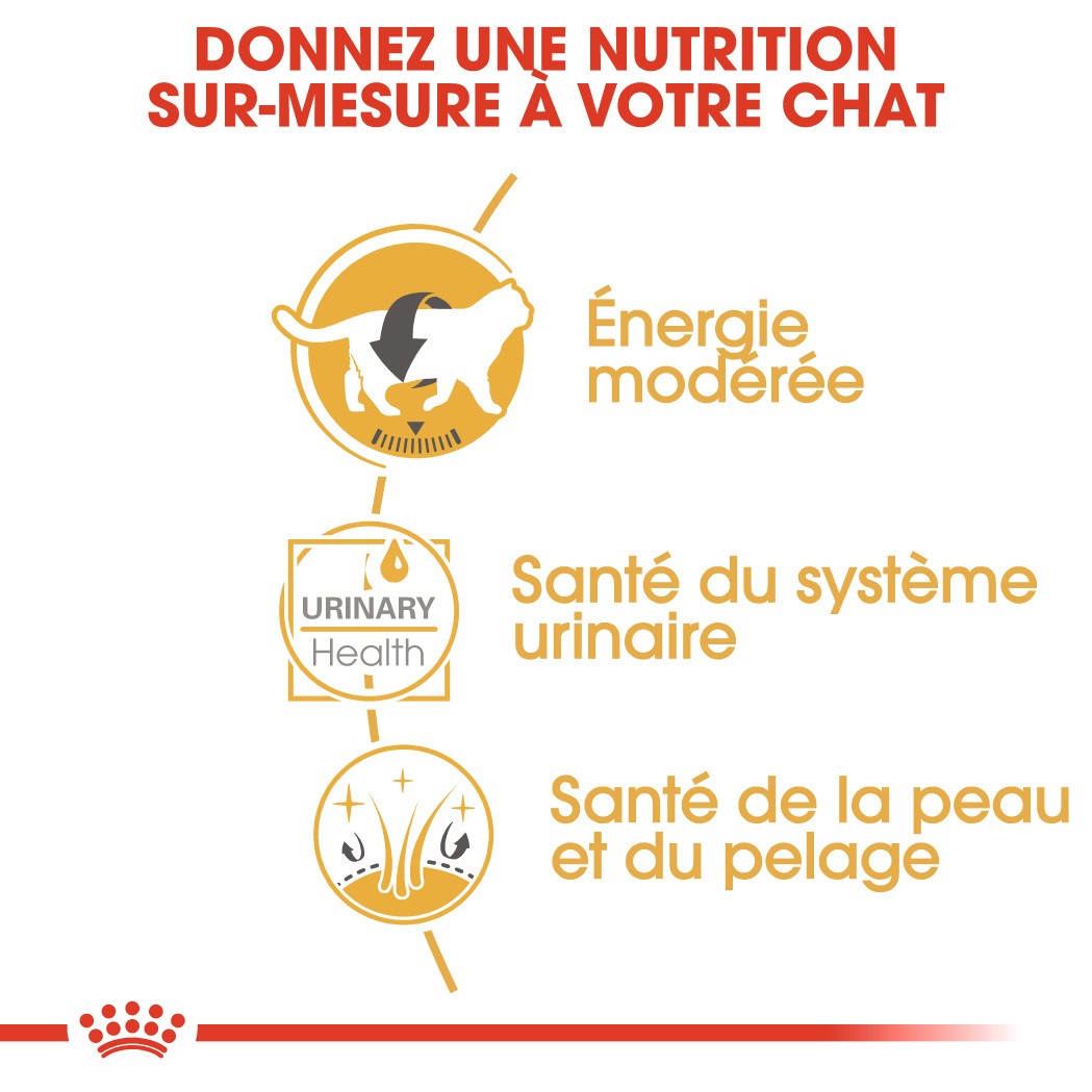 Royal Canin British Shorthair - Pâtée en sachet pour chat