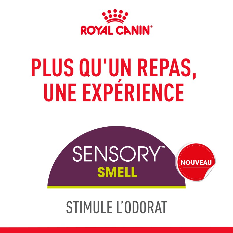 Royal Canin Sensory Smell