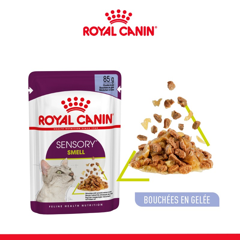 Royal Canin Sensory Smell