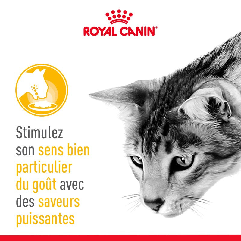 Royal Canin Sensory Taste