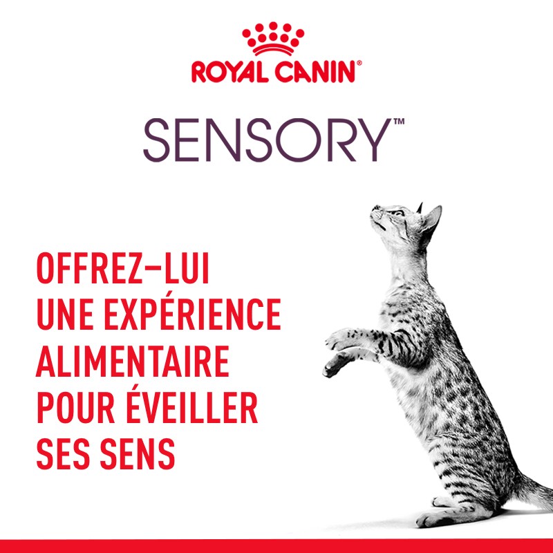 Royal Canin Sensory Taste