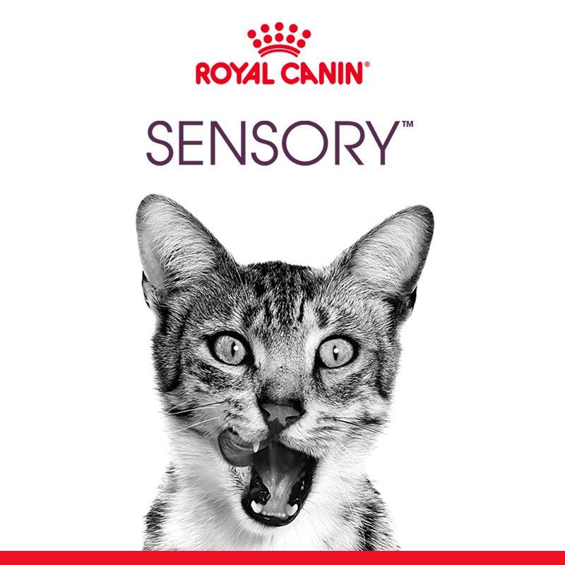 Royal Canin Sensory Taste