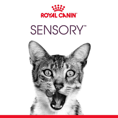 Royal Canin Sensory Taste