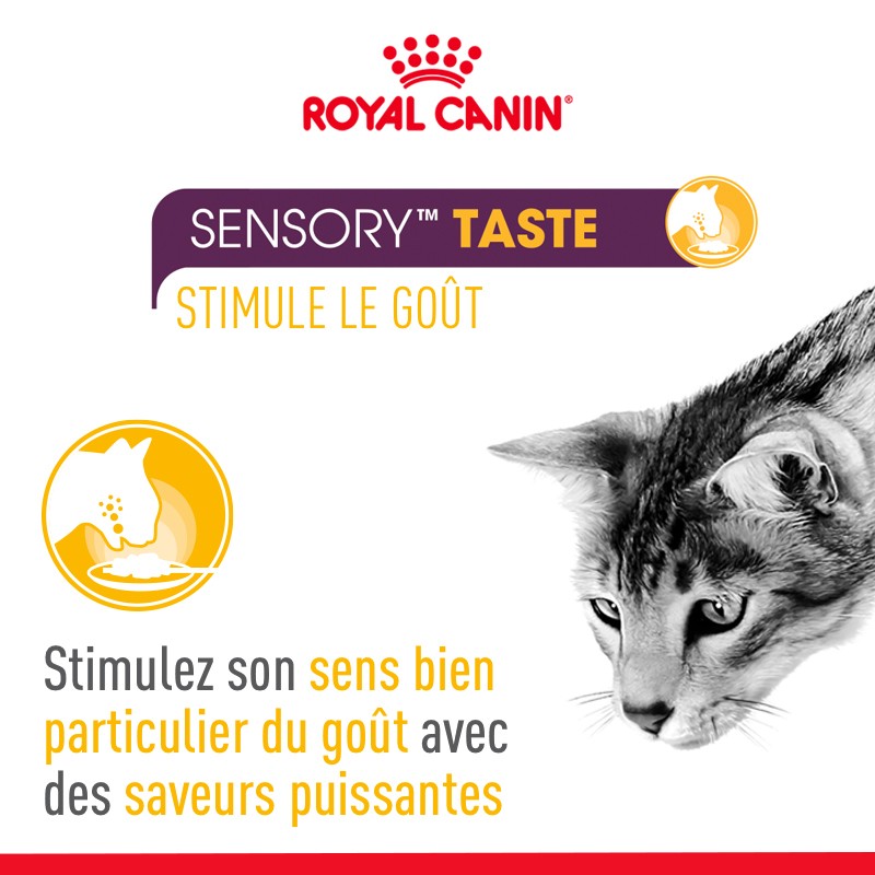 Royal Canin Sensory Multipack
