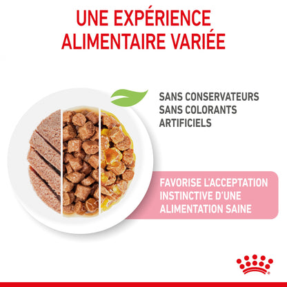 Royal Canin Kitten Multipack - Pâtées pour chaton