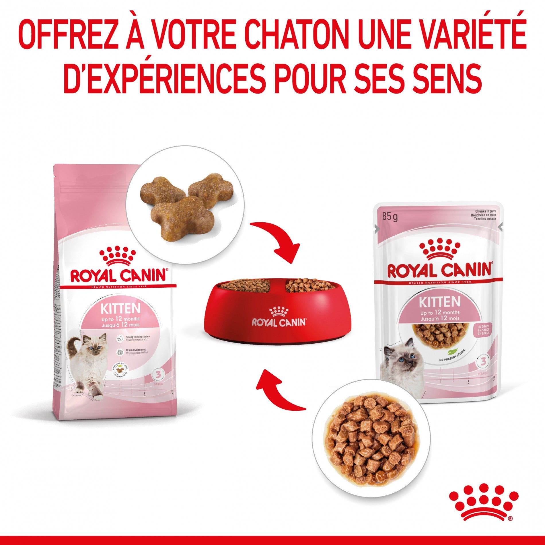 Royal Canin Kitten Multipack - Pâtées pour chaton