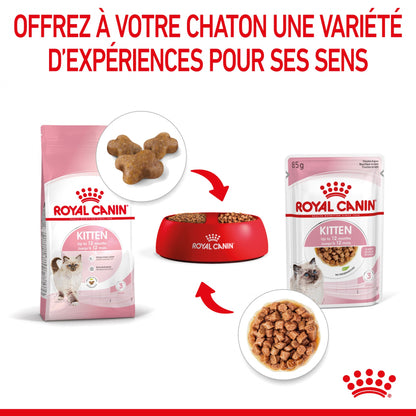 Royal Canin Kitten Multipack - Pâtées pour chaton