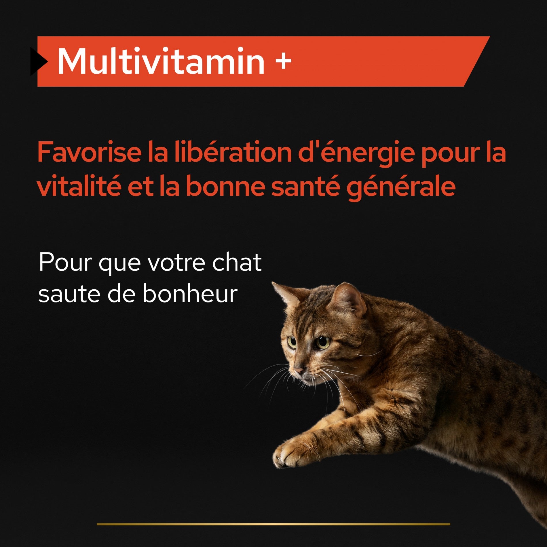 PRO PLAN Multi Vitamins+ en poudre - Aliment complémentaire pour chat