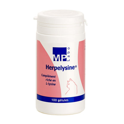 Lysine MP