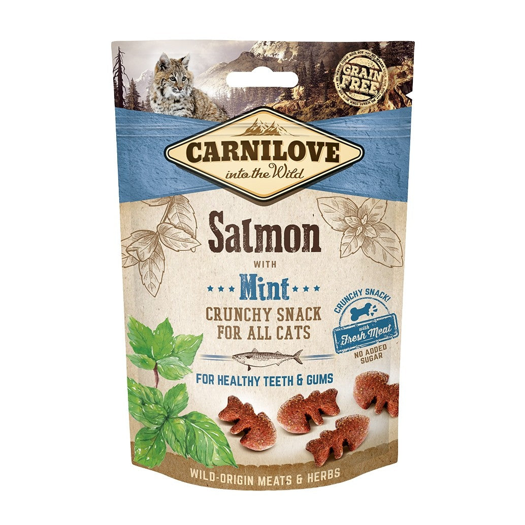 Crunchy Snack - Saumon et menthe