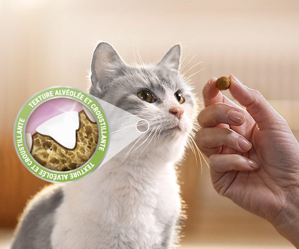 Bouchées Dentalife au poulet - Friandises bucco-dentaires pour chat