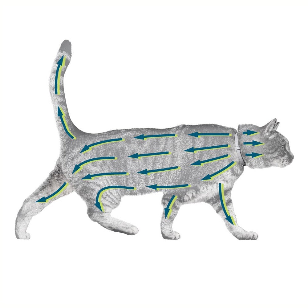 Collier antiparasitaire Seresto chat