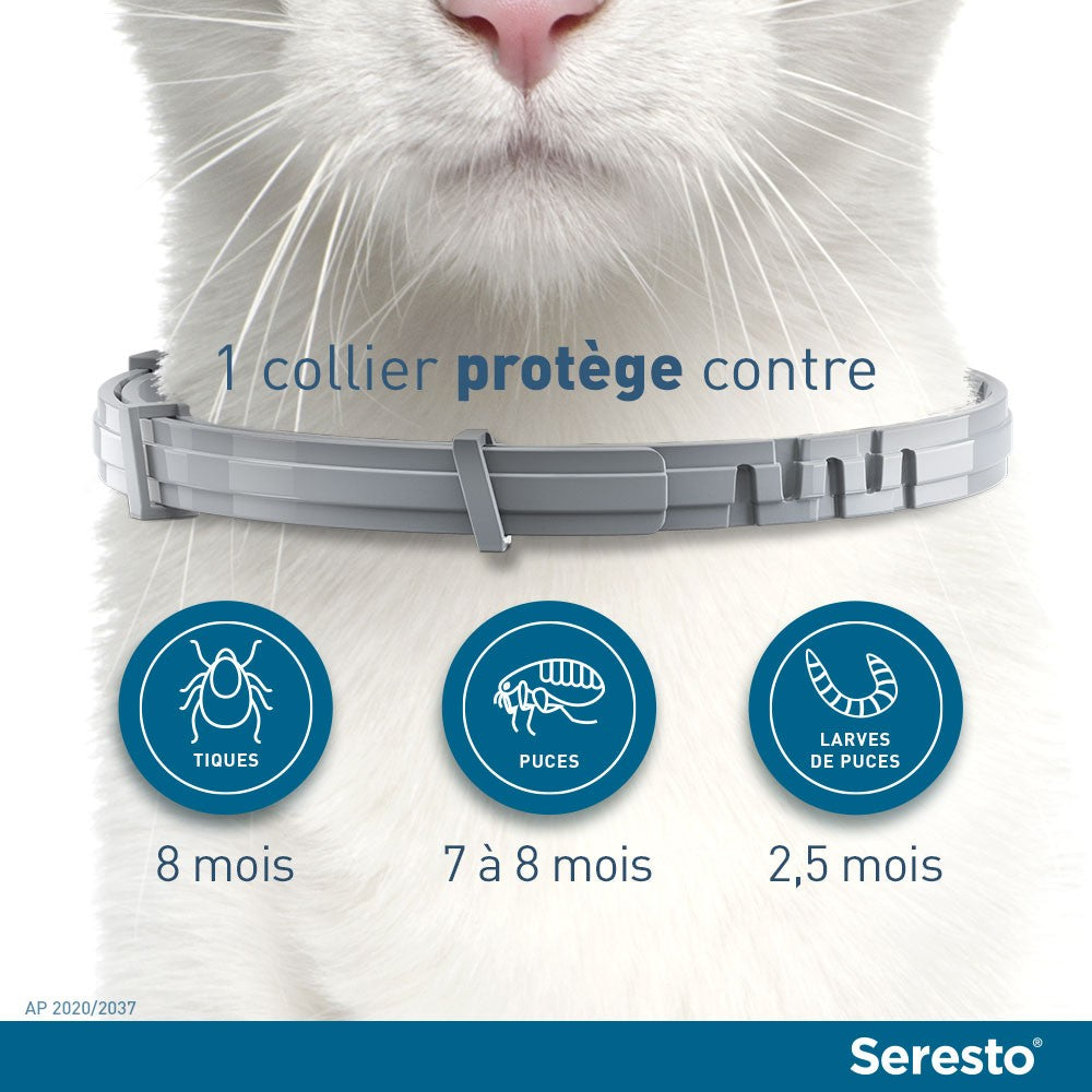 Collier antiparasitaire Seresto chat