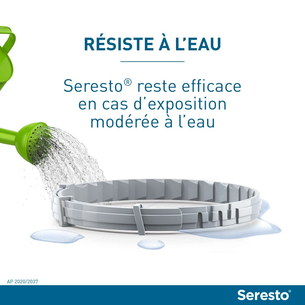 Collier antiparasitaire Seresto chat