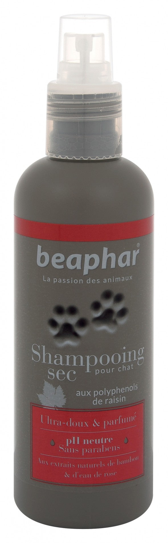 Shampooing sec pour chat