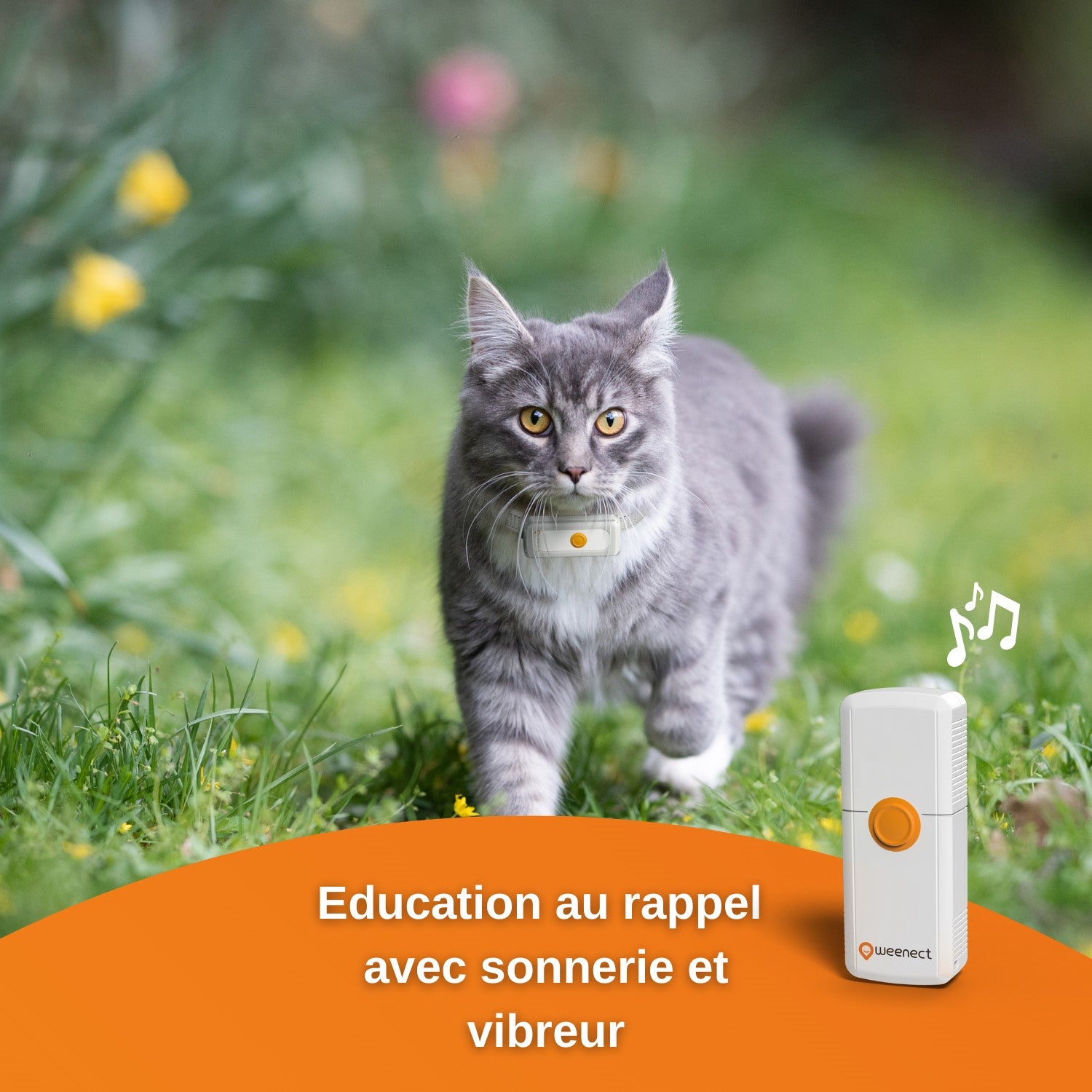 Traceur GPS Cats 2
