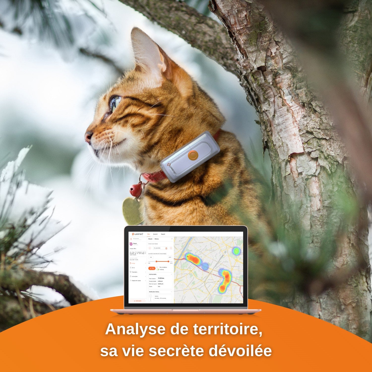 Traceur GPS Cats 2