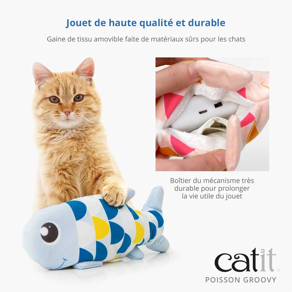 Poisson électronique Groovy