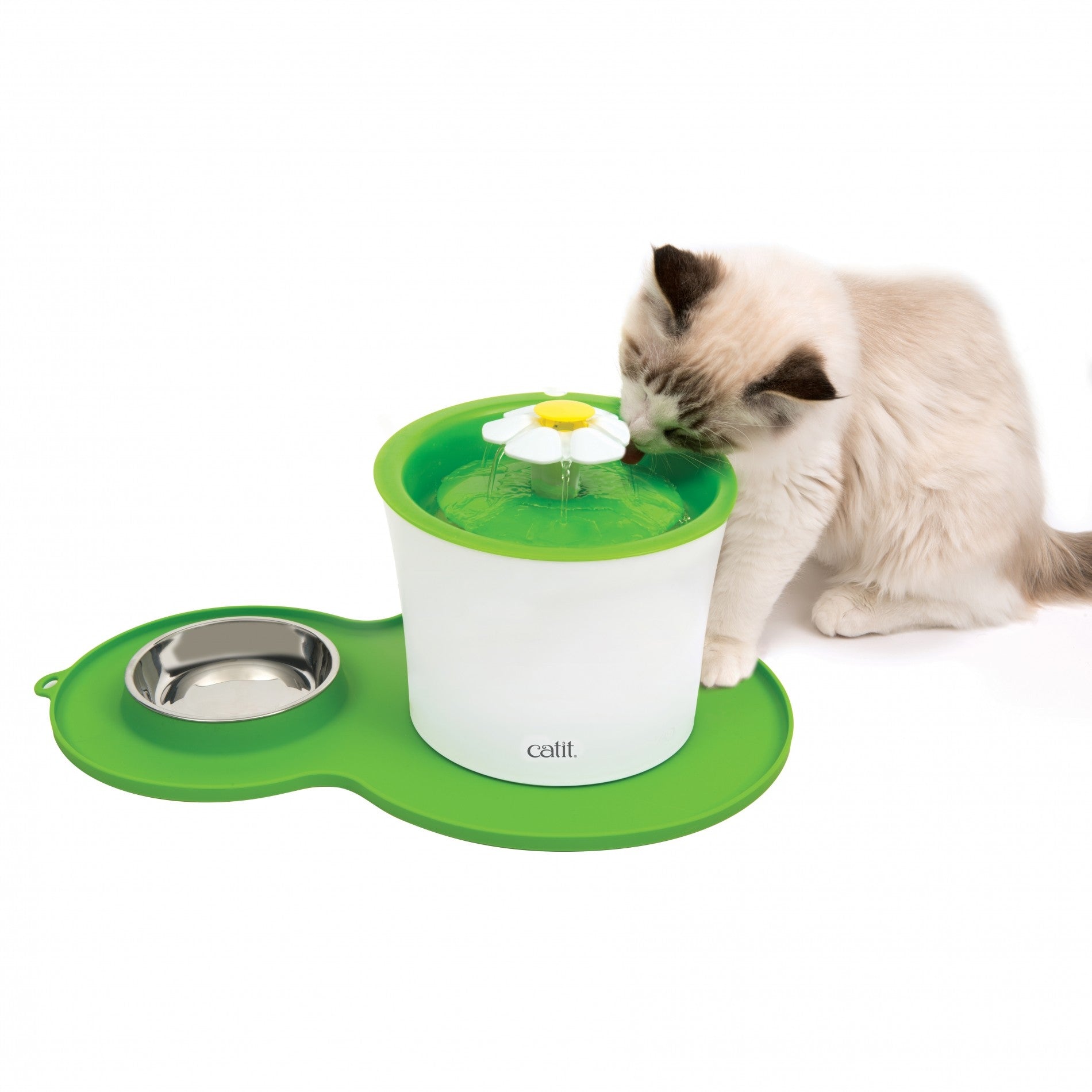 Set de table Peanut
