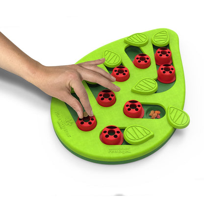 Jouet éducatif Buggin&