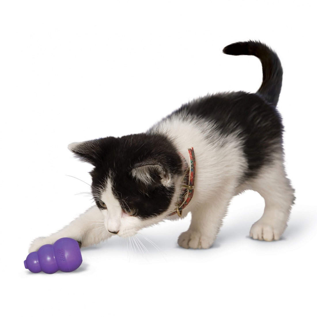 Jouet Kitty KONG pour chat et chaton