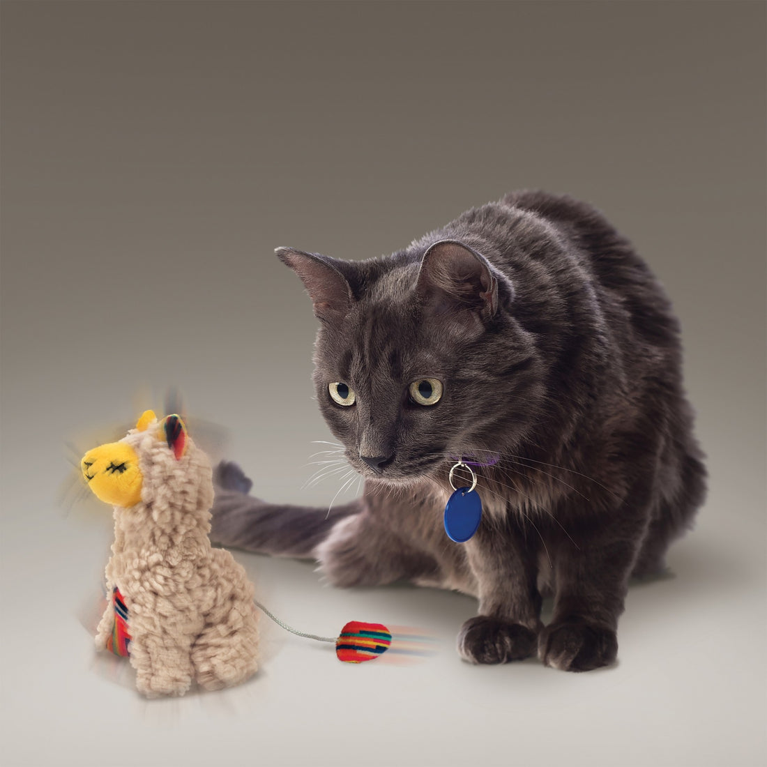 Peluche Softies Buzzy Lama KONG