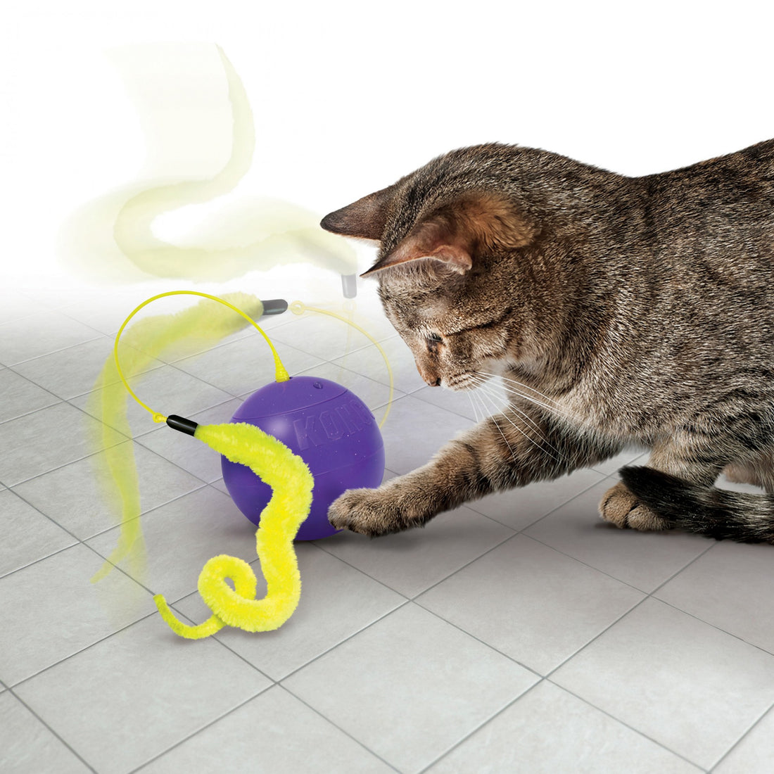 Balle intéractive Purrsuit Whirlwind