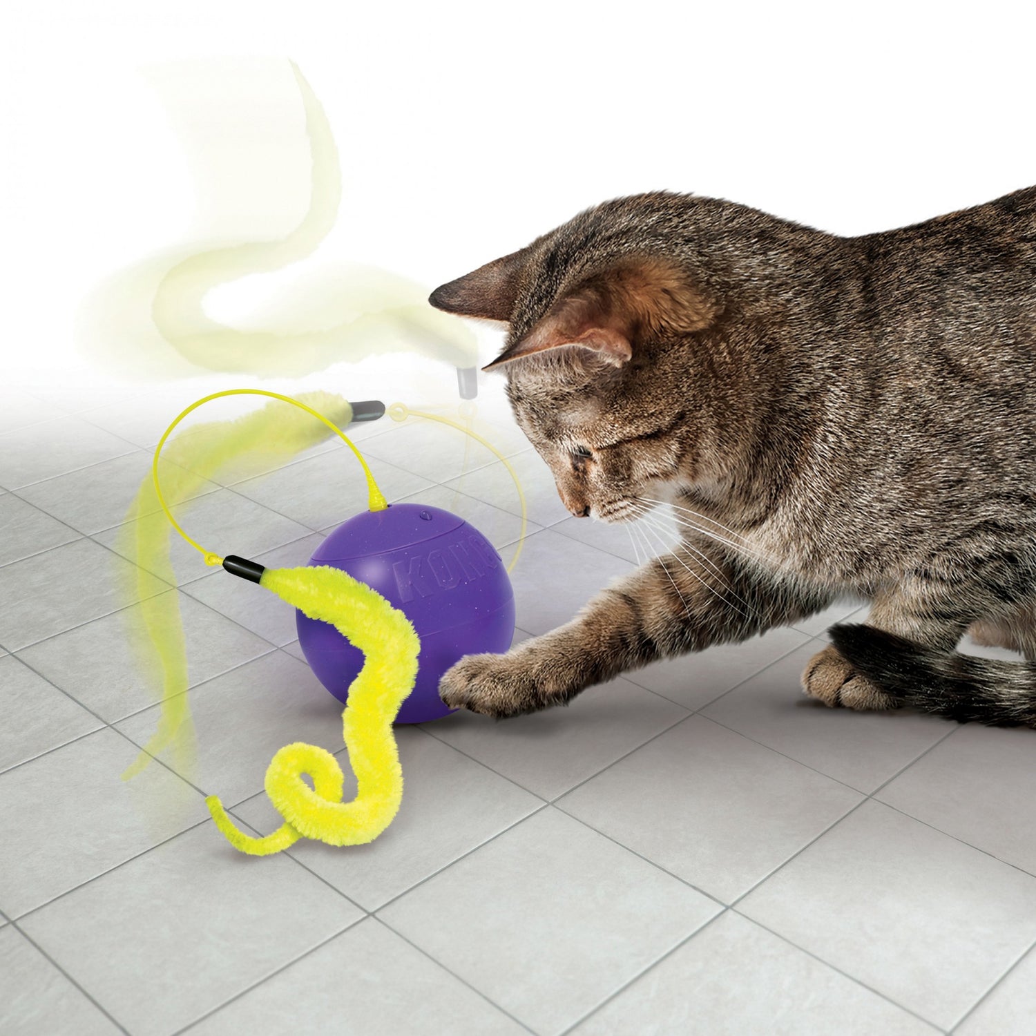 Balle intéractive Purrsuit Whirlwind