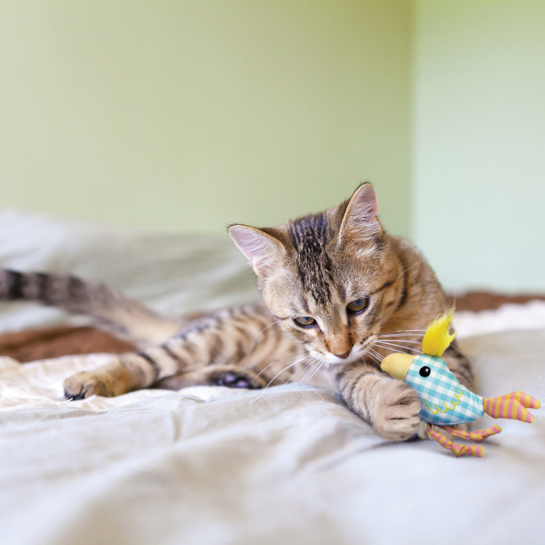 Jouet sonore Kitten Chirpz Chick