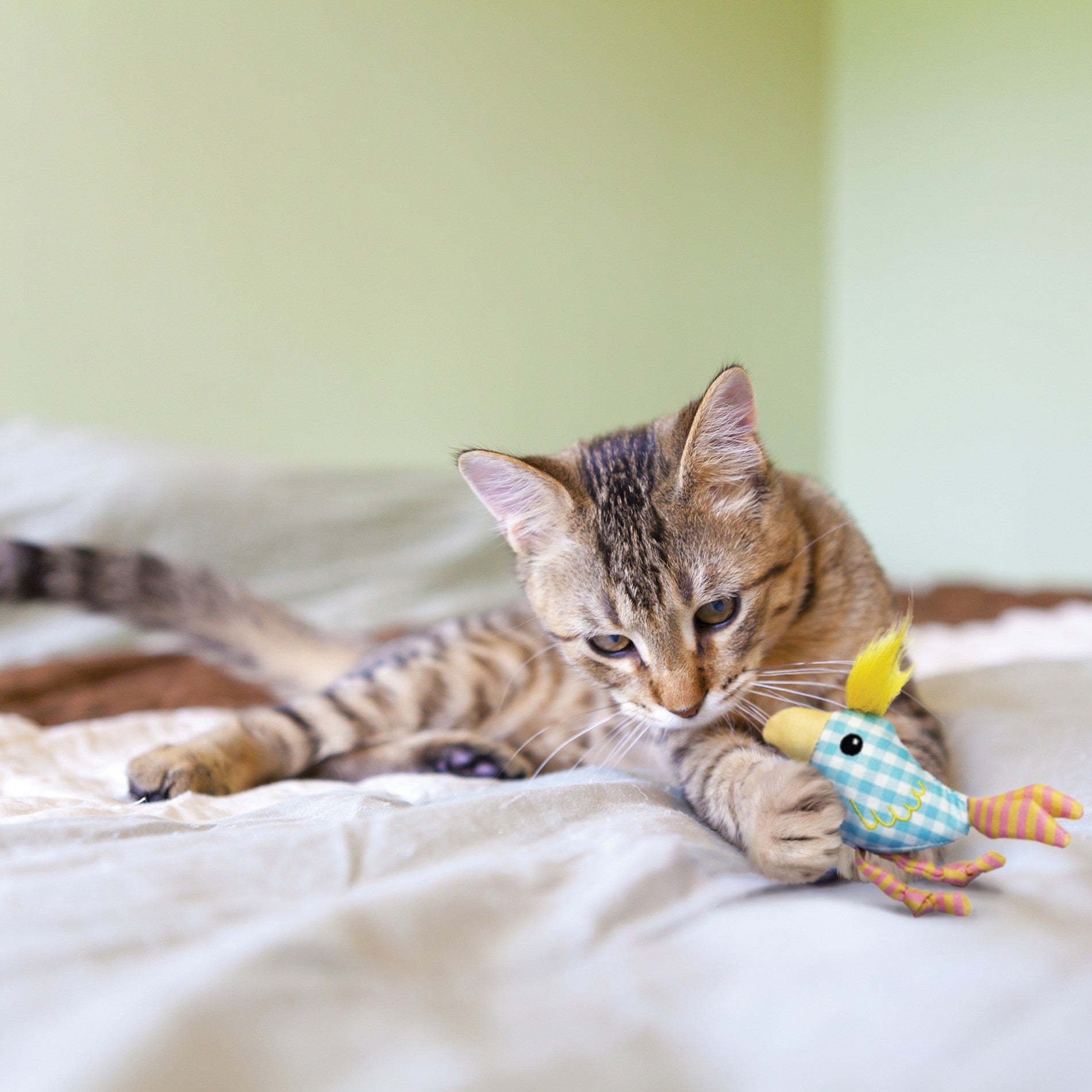 Jouet sonore Kitten Chirpz Chick