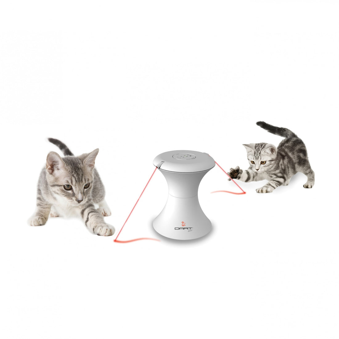 Laser DART DUO Frolicat