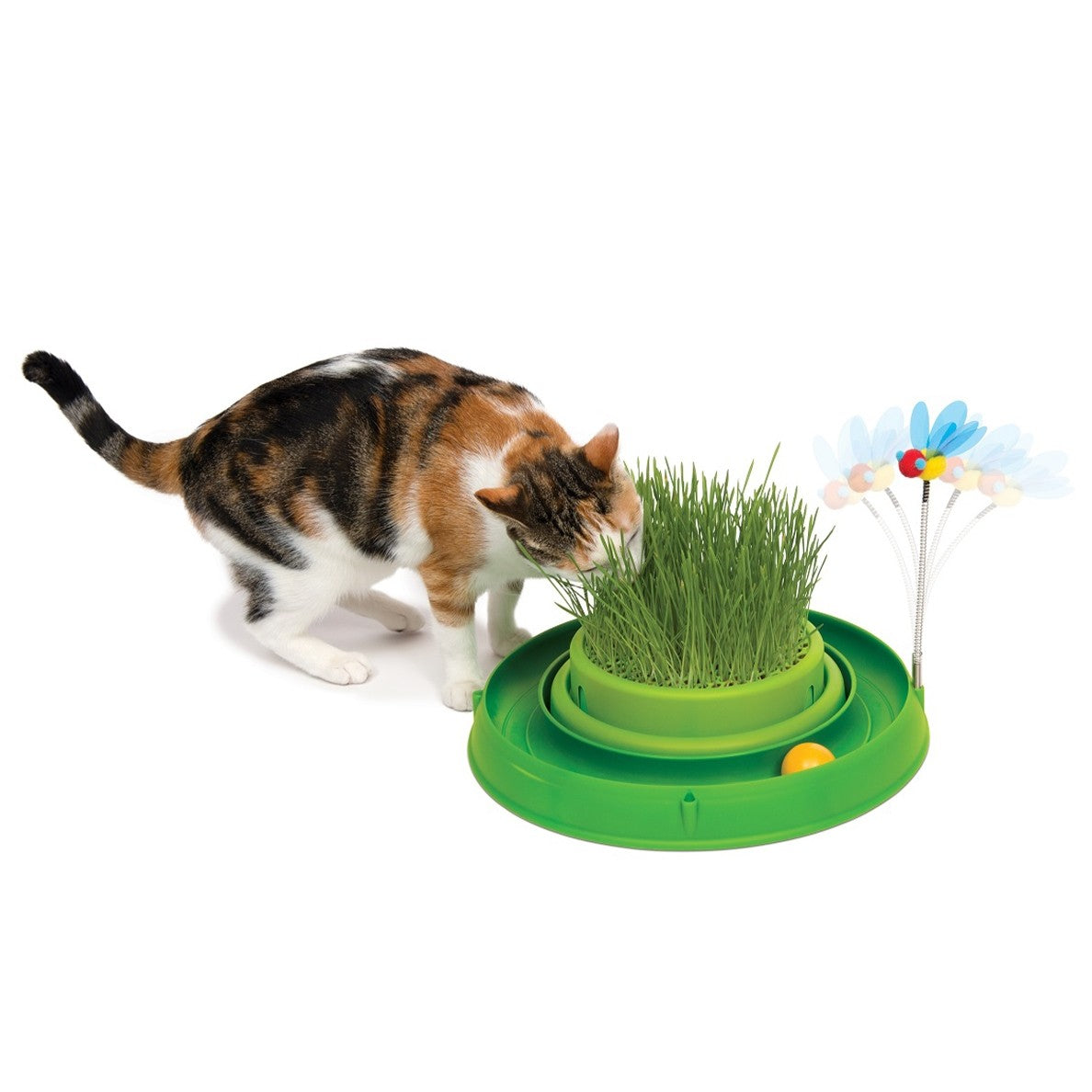 Circuit Bee Play &amp; Garden