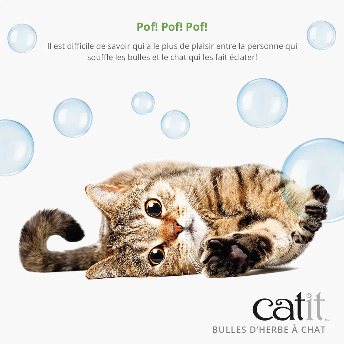 Bulles d&