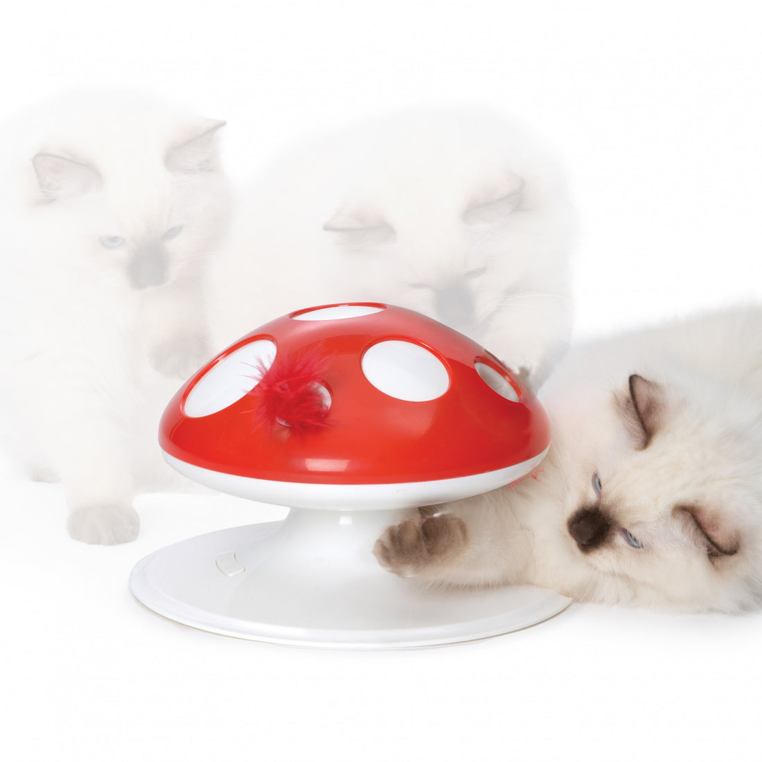 Champignon Senses 2.0