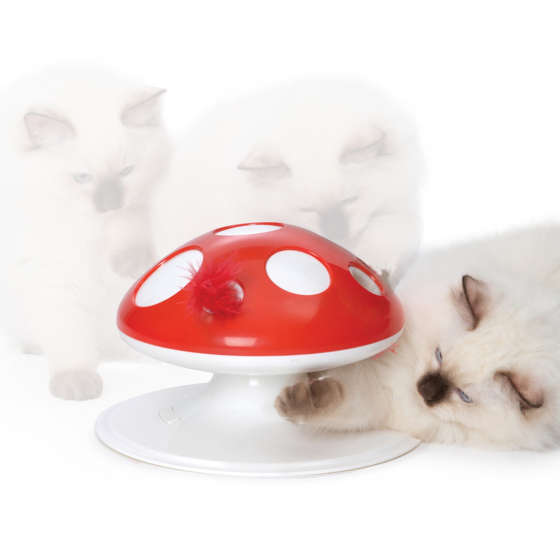 Champignon Senses 2.0