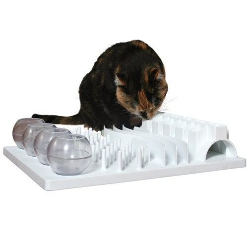 Jout éducatif Fun Board