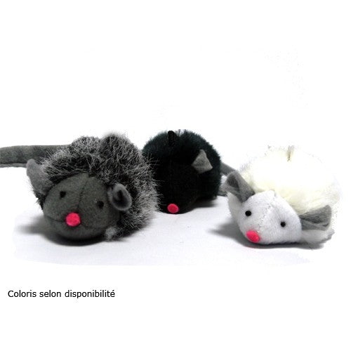 Souris couinante