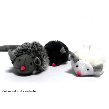 Souris couinante