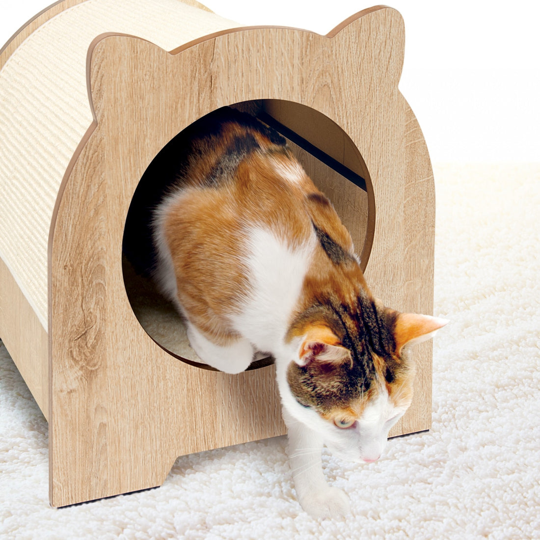 Griffoir Vesper Minou