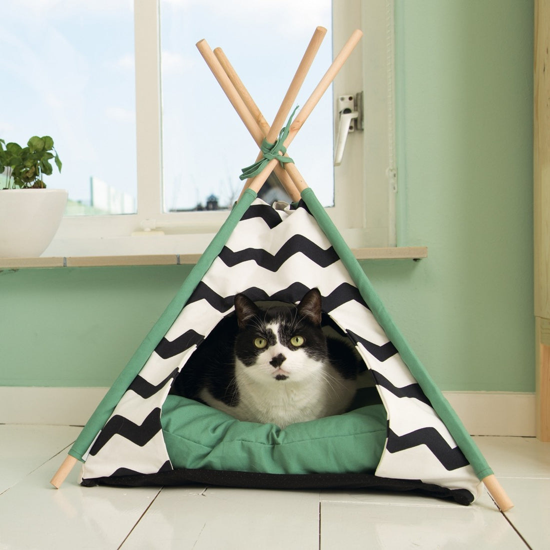 Tipi Bengy