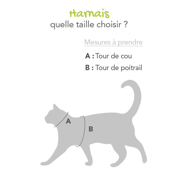 Parure laisse et harnais Kitty
