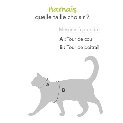 Parure harnais et laisse Flash