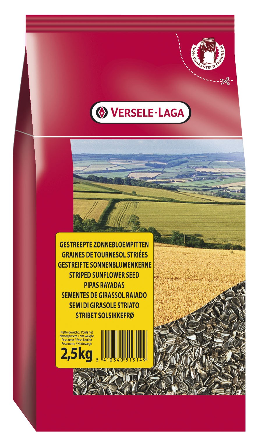 Graines de tournesol striées
