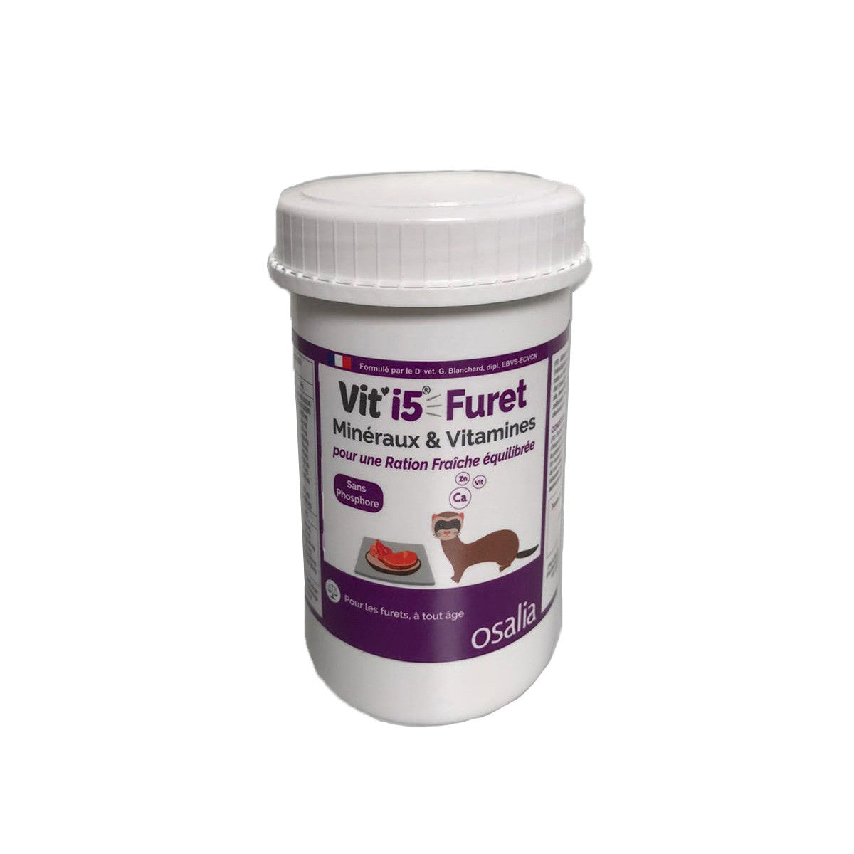 Violet - Furet de tout âge